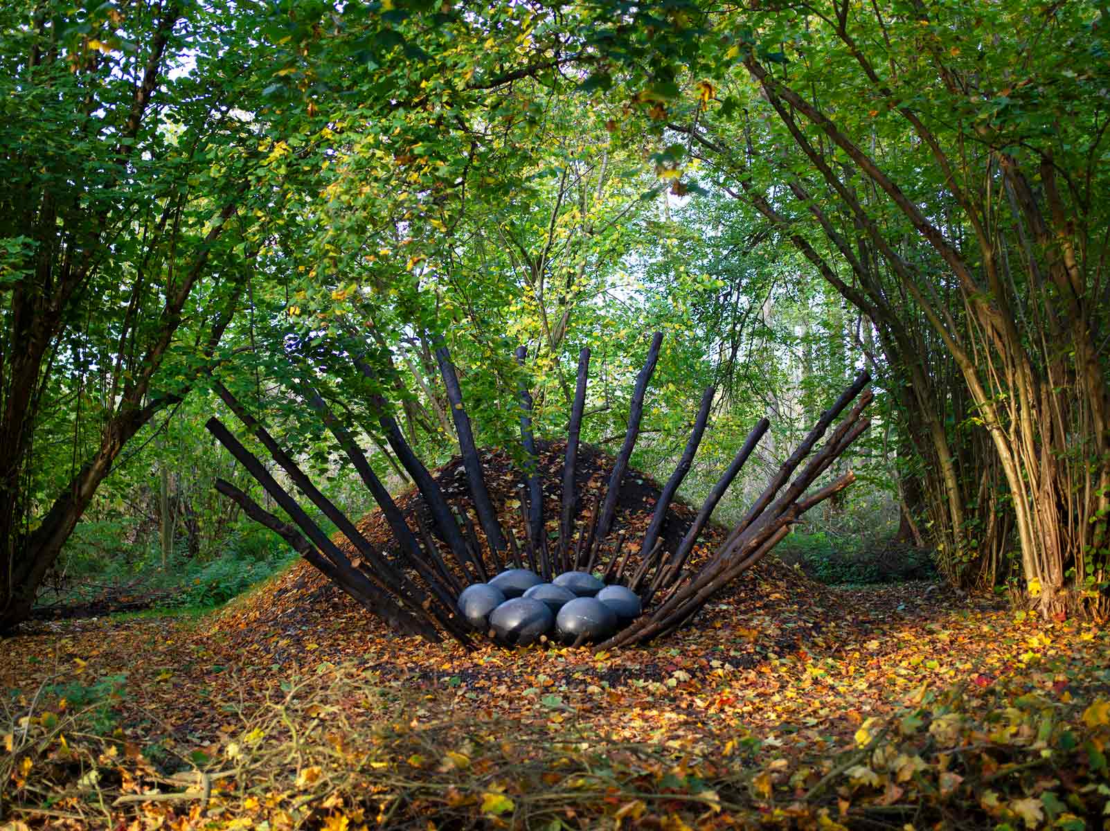 Art In Nature Nils Udo
